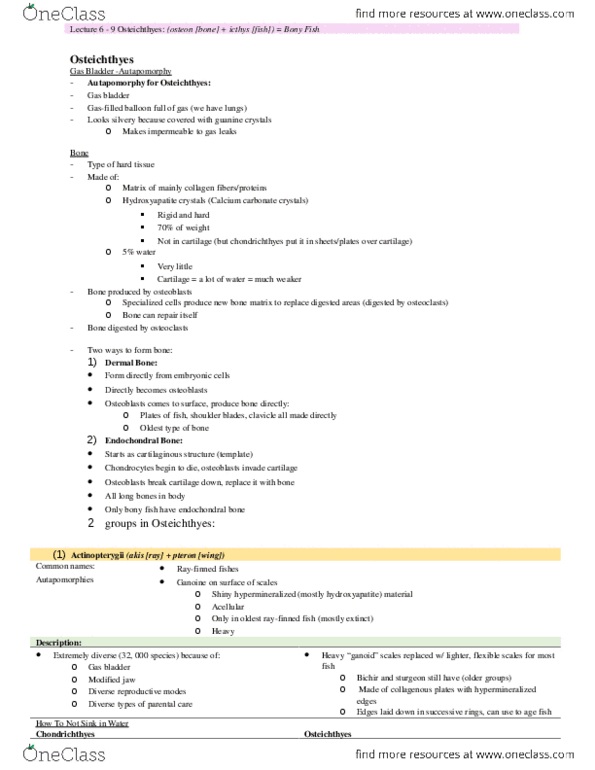 EEB267H1 Lecture Notes - Lecture 6: Osteichthyes, Endochondral Ossification, Fish Scale thumbnail