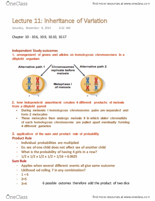 Biology 1001A Lecture Notes - Lecture 11: Homologous Chromosome, Sister Chromatids, Mendelian Inheritance thumbnail