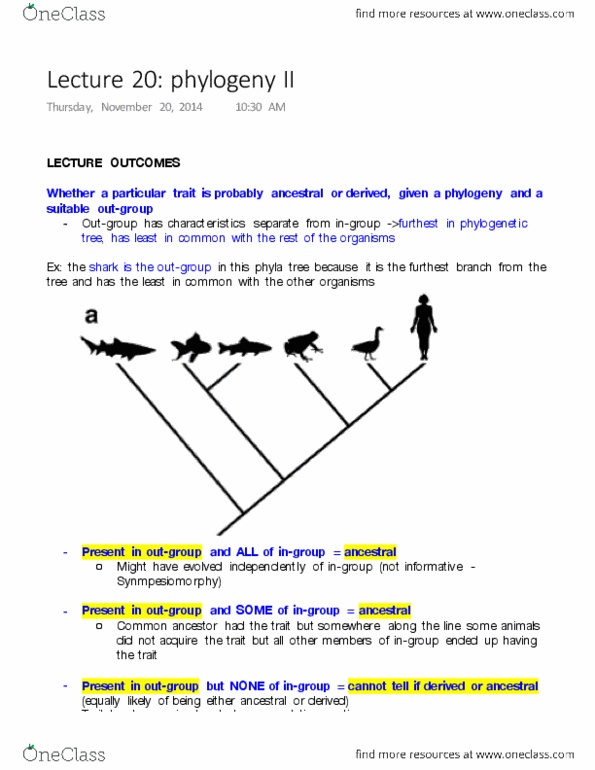 Biology 1001A Lecture Notes - Lecture 20: Synapomorphy, Ingroups And Outgroups, Adaptive Radiation thumbnail