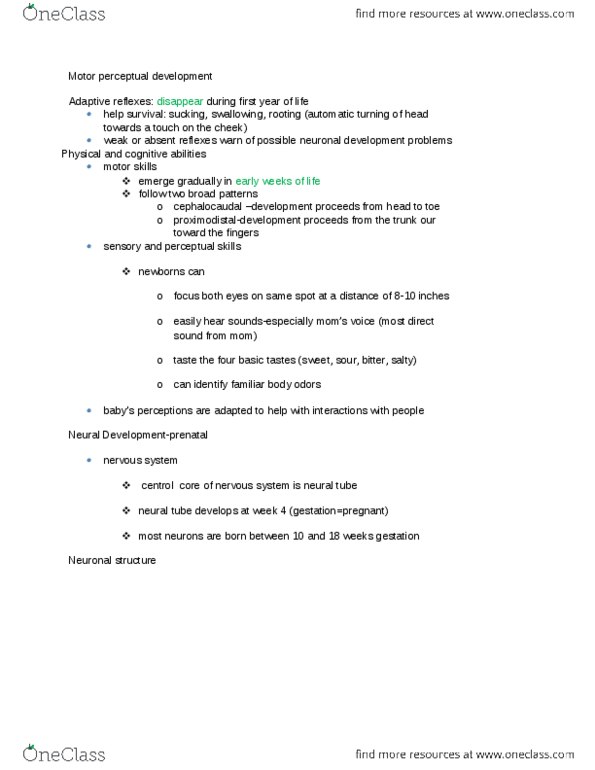 PSYCH 2AA3 Lecture Notes - Lecture 4: Cerebral Cortex, Neural Tube, Midbrain thumbnail