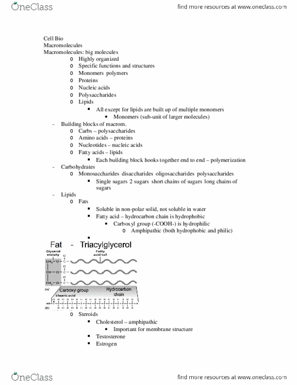 BIOL 2020 Lecture Notes - Lecture 2: Ionic Bonding, Phospholipid, Glycerol thumbnail