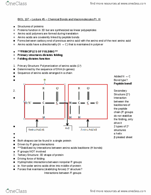 BIOL107 Lecture 5: BIOL 107-Lecture #5-Chemical Bonds and Macromolecules Pt.III thumbnail