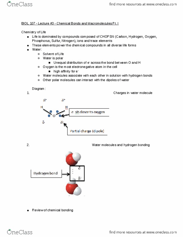 BIOL107 Lecture Notes - Lecture 3: Hydrogen Bond, Partial Charge thumbnail