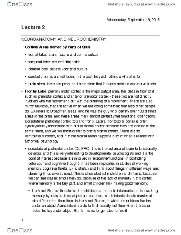 document preview image
