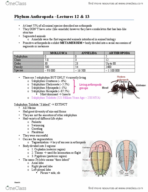 BIOL 2030 Lecture Notes - Lecture 12: Trilobite, Subphylum, Cephalon thumbnail