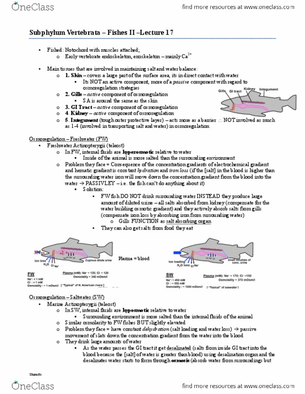 BIOL 2030 Lecture Notes - Lecture 17: Integument, Rapd, Fish Fin thumbnail