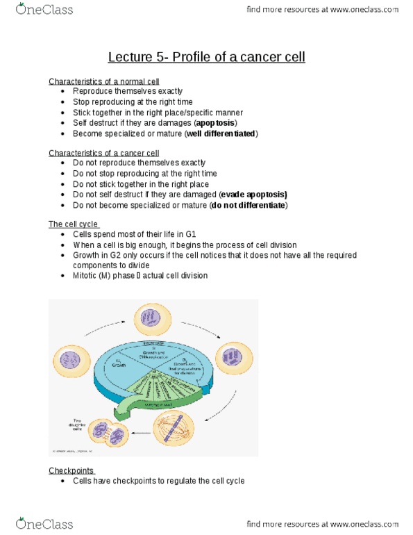 MICROBIO 160 Lecture Notes - Lecture 5: Apoptosis, Angiogenesis, Metastasis thumbnail