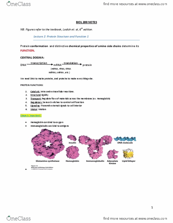 BIOL 200 Lecture Notes - Lecture 1: Cysteine, Thiol, Microrna thumbnail