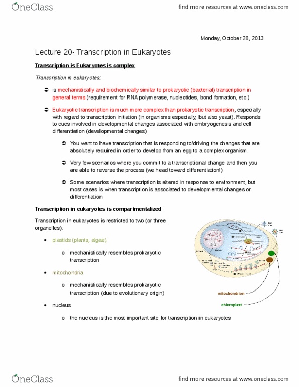 BIOL 200 Lecture Notes - Lecture 20: Eukaryotic Transcription, Transfer Rna, Prokaryote thumbnail