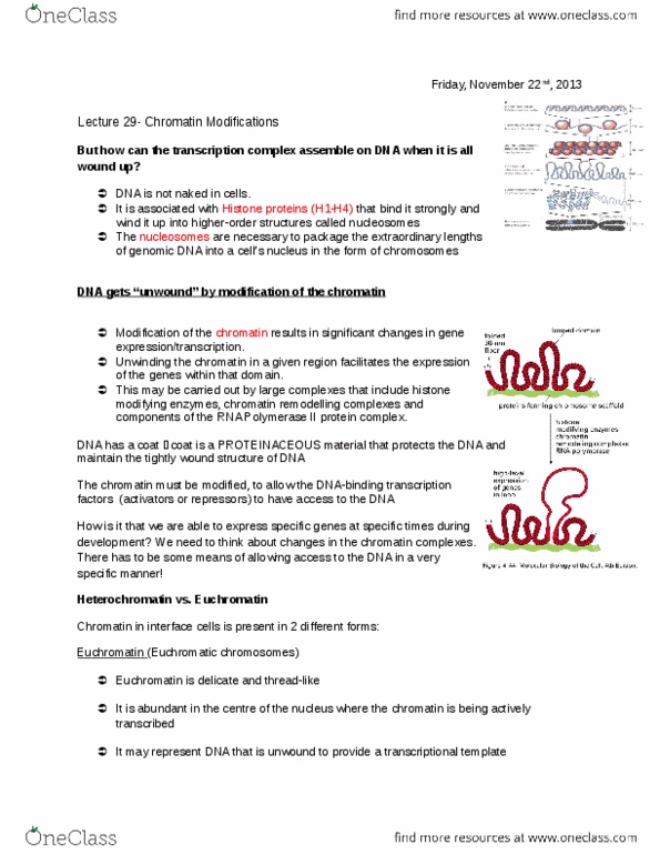 BIOL 200 Lecture Notes - Lecture 29: Xist (Gene), Centromere, Gcn4 thumbnail