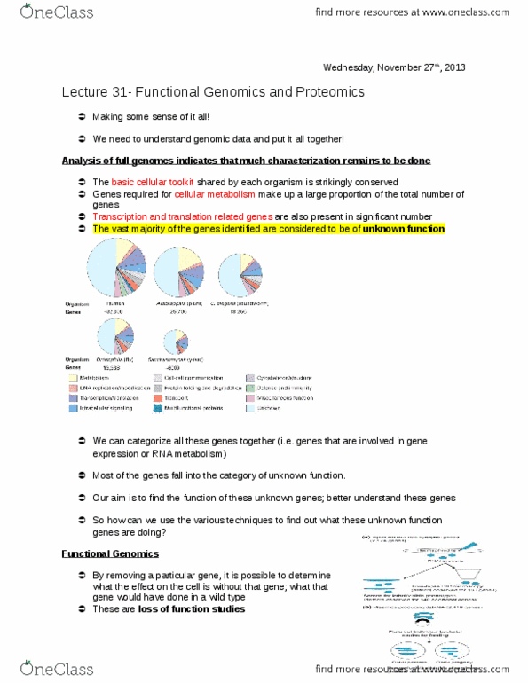BIOL 200 Lecture Notes - Lecture 31: Rna Interference, Leucine, Rna-Seq thumbnail