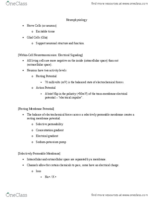 PSY 3061 Lecture Notes - Lecture 4: Resting Potential, Neurotransmission, Axon Terminal thumbnail