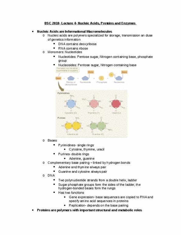 BSC 2010 Lecture Notes - Lecture 5: Side Chain thumbnail