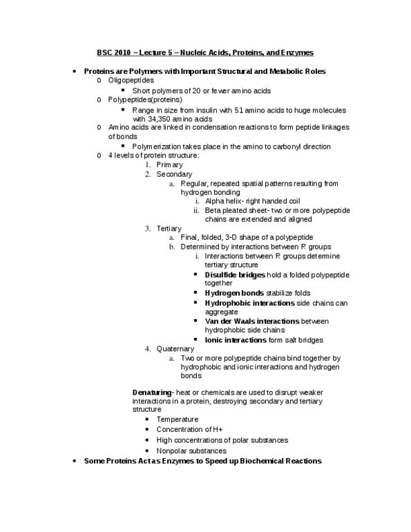 BSC 2010 Lecture Notes - Lecture 5: Peptide, Alpha Helix, Activation Energy thumbnail