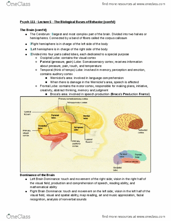 document preview image