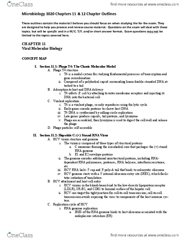 Biology Chapter 11 Section Review Answers Page 3 Best