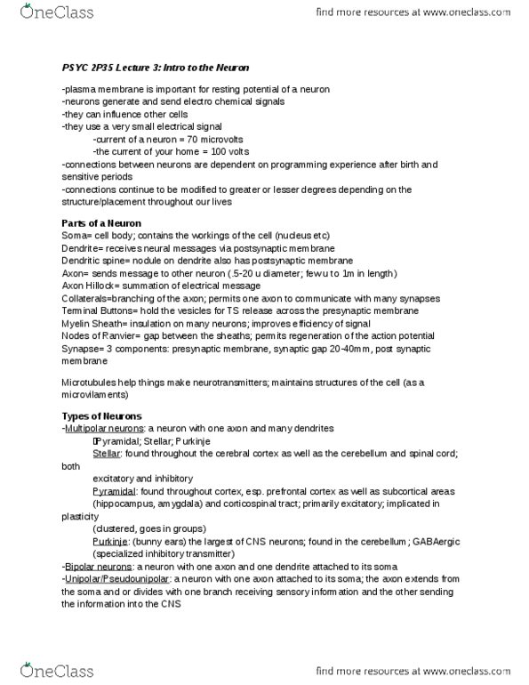 PSYC 2P35 Lecture Notes - Lecture 3: Grou, Macrophage, Glycogen thumbnail