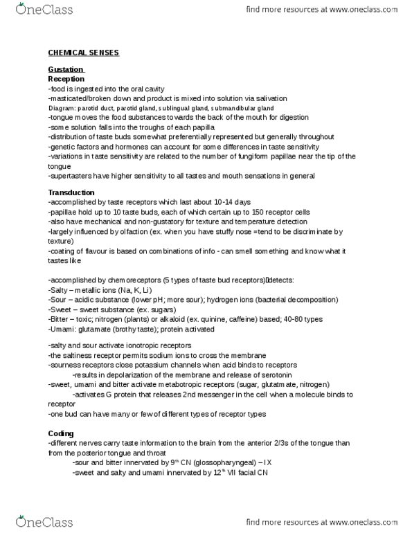 PSYC 2P35 Lecture Notes - Lecture 13: Taste Bud, Alkaloid, Proprioception thumbnail