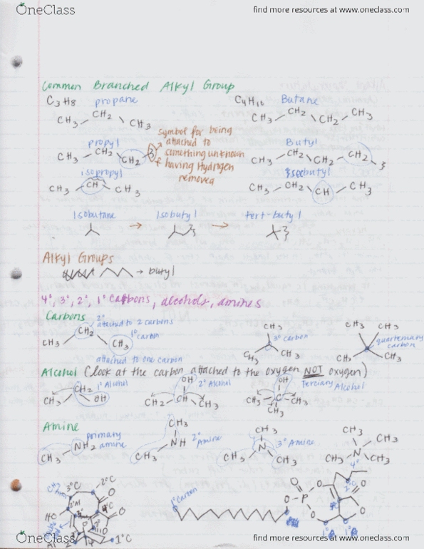 CHEM 108A Lecture Notes - Lecture 3: Butane thumbnail