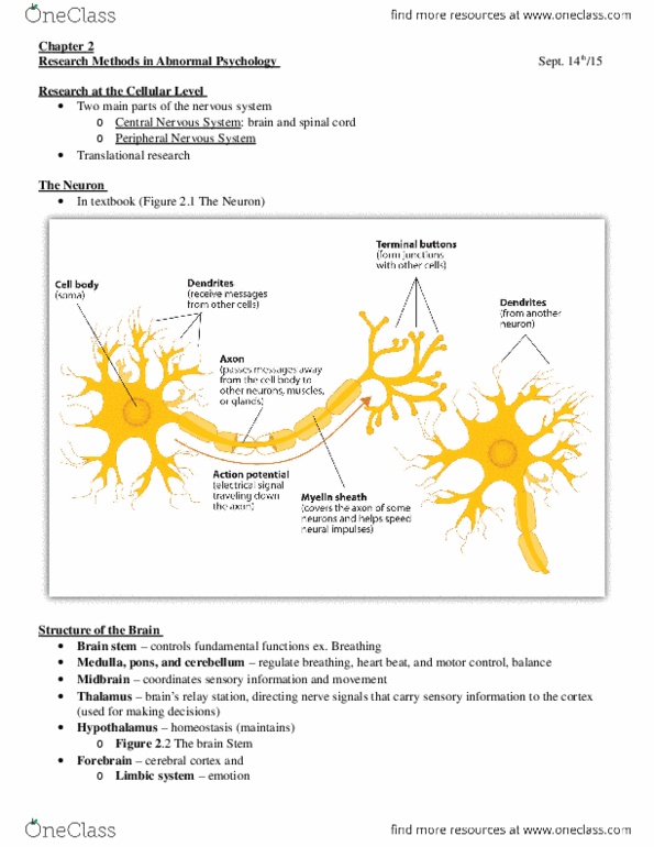 Psychology 2030A/B Lecture Notes - Lecture 2: Myelin, Action Potential, Ct Scan thumbnail