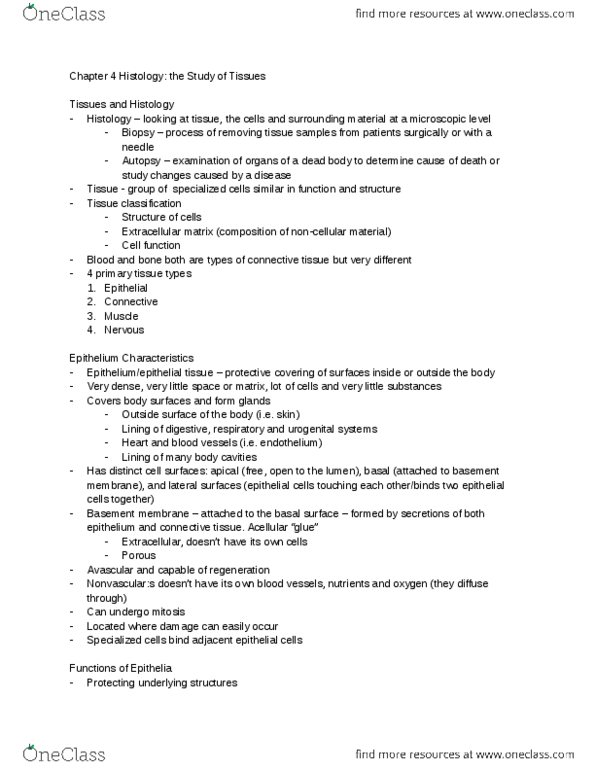 KINESIOL 1Y03 Lecture Notes - Lecture 4: Fibroblast, Histamine, Proteoglycan thumbnail