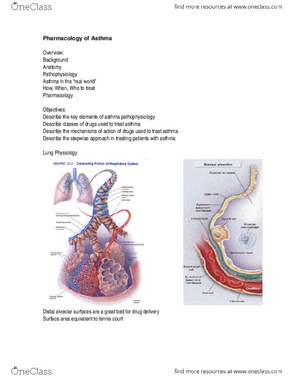 Pharmacology 3620 Lecture Notes - Lecture 1: Corticosteroid, Cell Membrane, Theophylline thumbnail