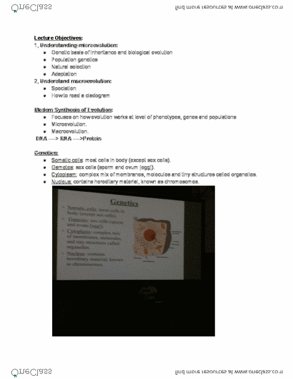 ANT100Y1 Lecture Notes - Lecture 3: Directional Selection, Synapomorphy, Messenger Rna thumbnail