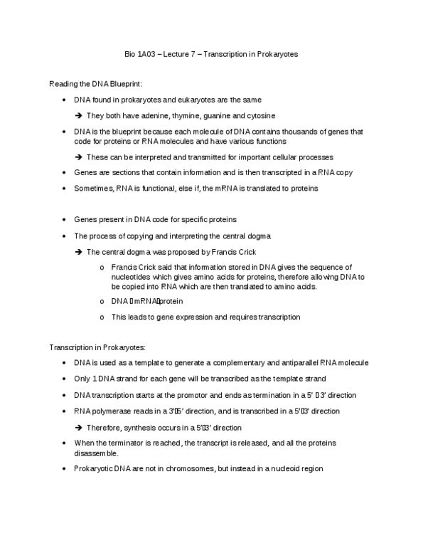 BIOLOGY 1A03 Lecture Notes - Lecture 7: Nuclear Membrane, Harpoon, Nucleoid thumbnail