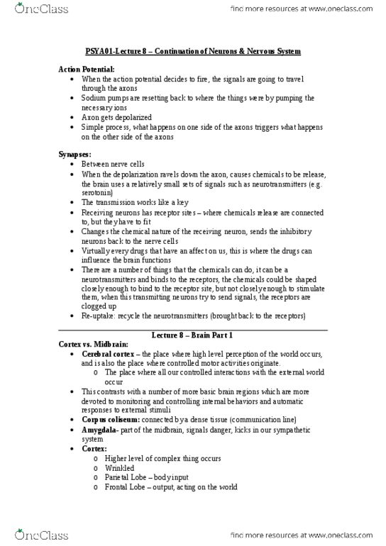 PSYA01H3 Lecture 8: PSYA01- Lecture 8 - Neurons and Brains thumbnail