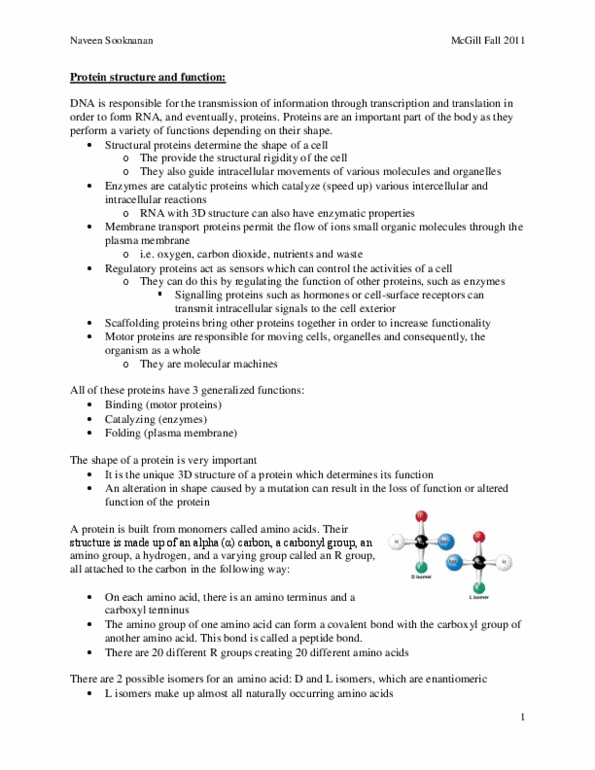 BIOL 200 Lecture Notes - Leghemoglobin, Hemoglobin, Zinc Finger thumbnail