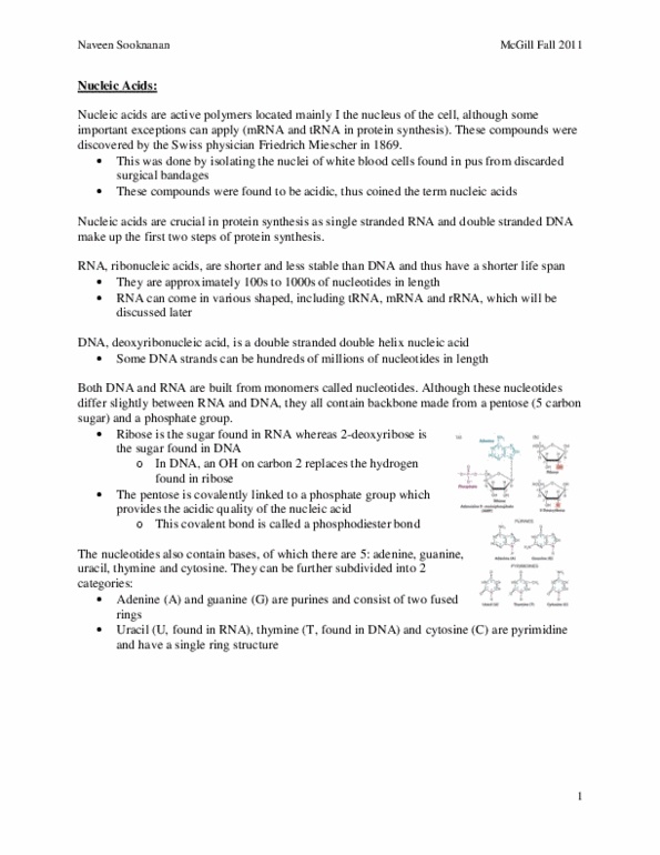 BIOL 200 Lecture Notes - Pseudoknot, Intron, Genomics thumbnail
