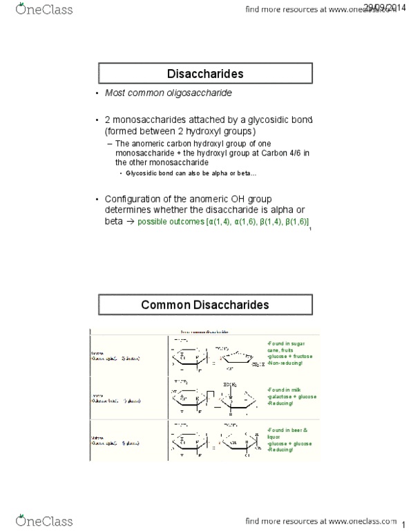 NUTR 3210 Lecture Notes - Lecture 6: Hemicellulose, Jejunum, Glut2 thumbnail