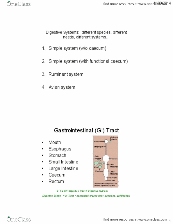 NUTR 3210 Lecture Notes - Lecture 3: Gastric Acid, Gastric Glands, Cecum thumbnail