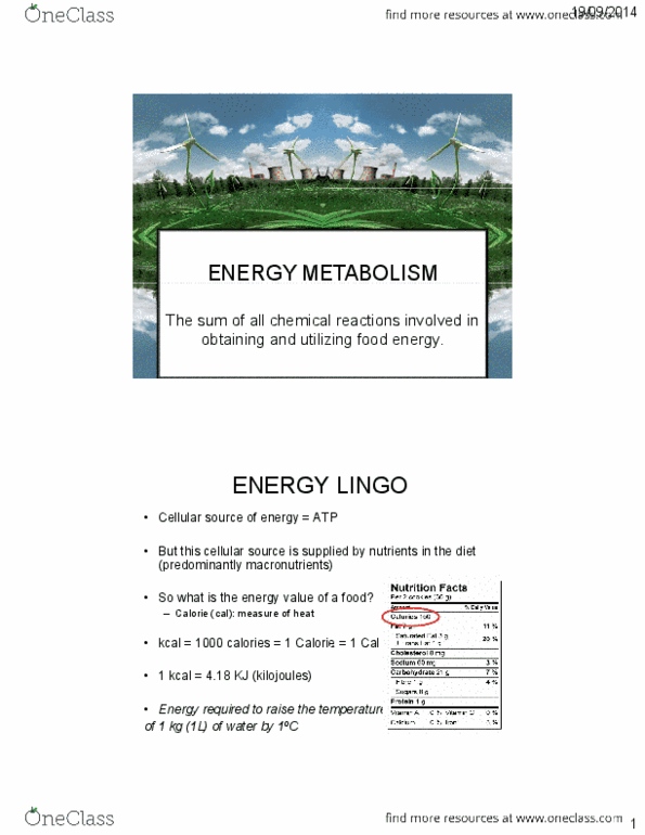 NUTR 3210 Lecture Notes - Lecture 4: Insulin Resistance, Cardiovascular Disease, Food Energy thumbnail