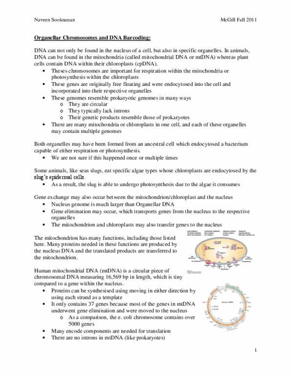 BIOL 200 Lecture Notes - Ancient Dna, Field Guide, Cytochrome C Oxidase Subunit I thumbnail