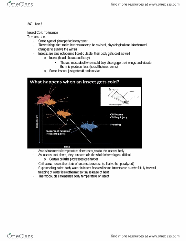 Biology 2601A/B Lecture Notes - Lecture 7: Eurosta, Antifreeze Protein, Cryoprotectant thumbnail
