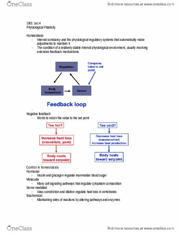 Biology 2601A/B Lecture Notes - Lecture 5: Thylakoid, European Route E6, Potential Gradient thumbnail