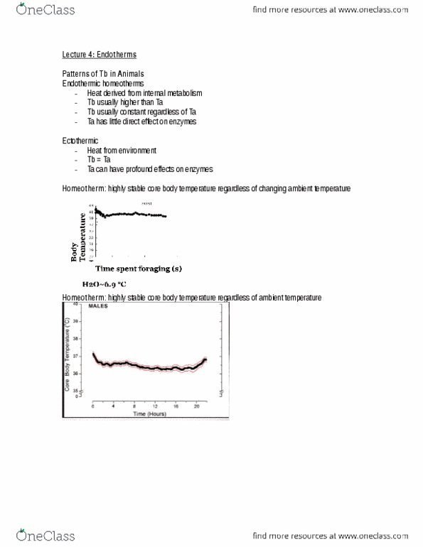 Biology 2601A/B Lecture Notes - Lecture 6: Mitochondrion, Gluconeogenesis, Inner Membrane thumbnail