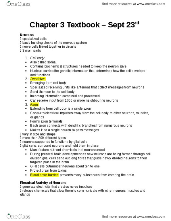 Psychology 1000 Chapter Notes - Chapter 3: Temporal Lobe, Positron, Hindbrain thumbnail