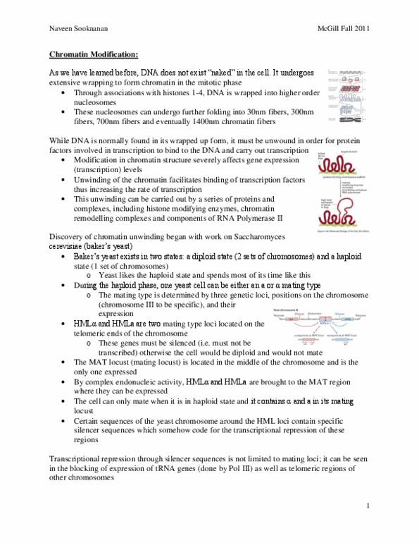 BIOL 200 Lecture Notes - Nuclear Pore, Lysine, Dosage Compensation thumbnail