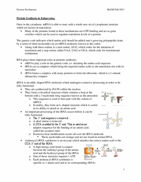 BIOL 200 Lecture Notes - Karyopherin, Aldehyde, Polytene Chromosome thumbnail