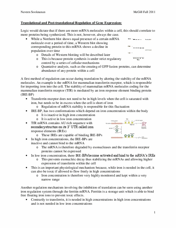 BIOL 200 Lecture Notes - Macromolecule, Peptide, Conformational Change thumbnail