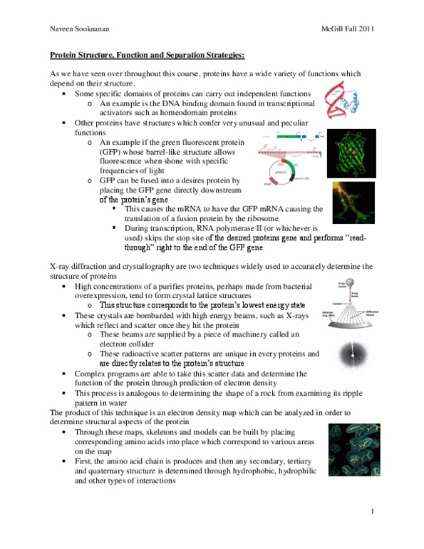 BIOL 200 Lecture Notes - Histidine, Conformational Change, Amphoterism thumbnail