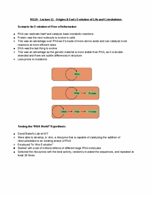 BI110 Lecture Notes - Lecture 11: Polymerization, Cyanobacteria, Autotroph thumbnail