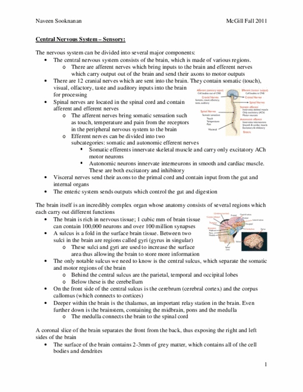 PHGY 209 Lecture Notes - Mast Cell, Vestibular Duct, Procedural Memory thumbnail