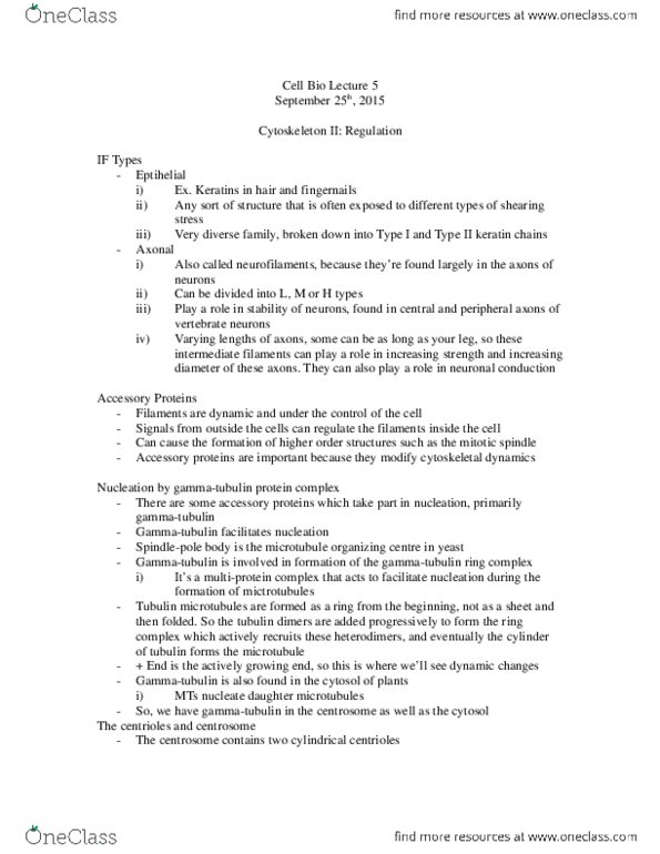 BIO 3153 Lecture Notes - Lecture 5: Mitosis, Tubulin, Cytoskeleton thumbnail