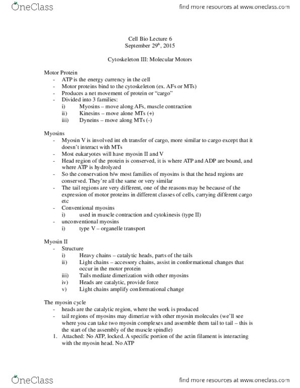 BIO 3153 Lecture Notes - Lecture 6: Troponin, Microtubule, Dynein thumbnail