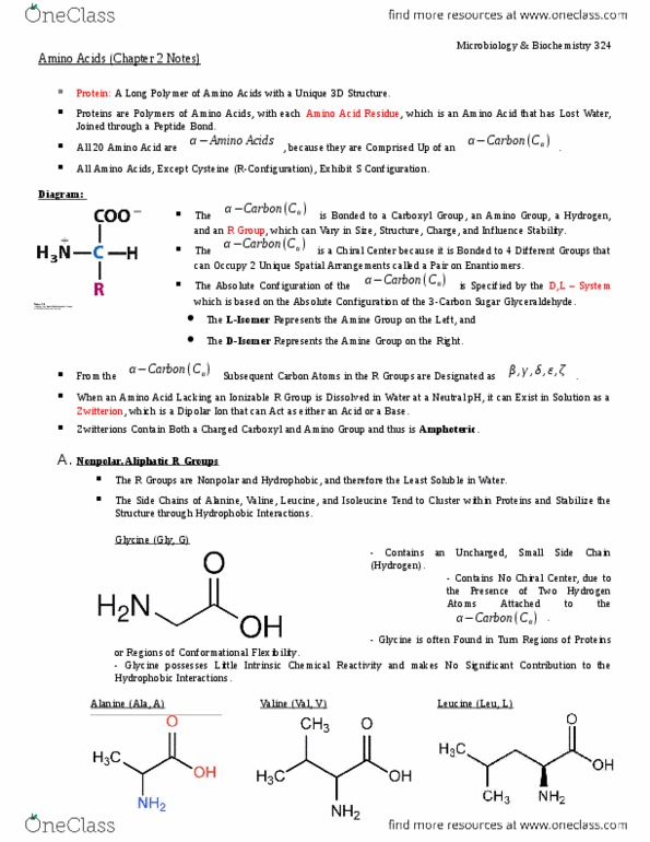MBB 324 Chapter Notes - Chapter 2: Ammonia, Zwitterion thumbnail