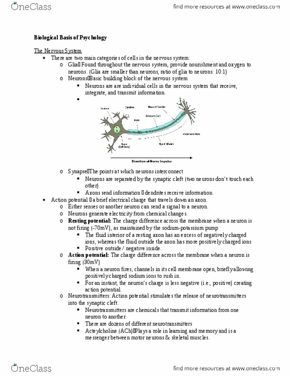 APSY-UE 2 Lecture Notes - Lecture 3: Hindbrain, Midbrain, Neurotransmitter thumbnail