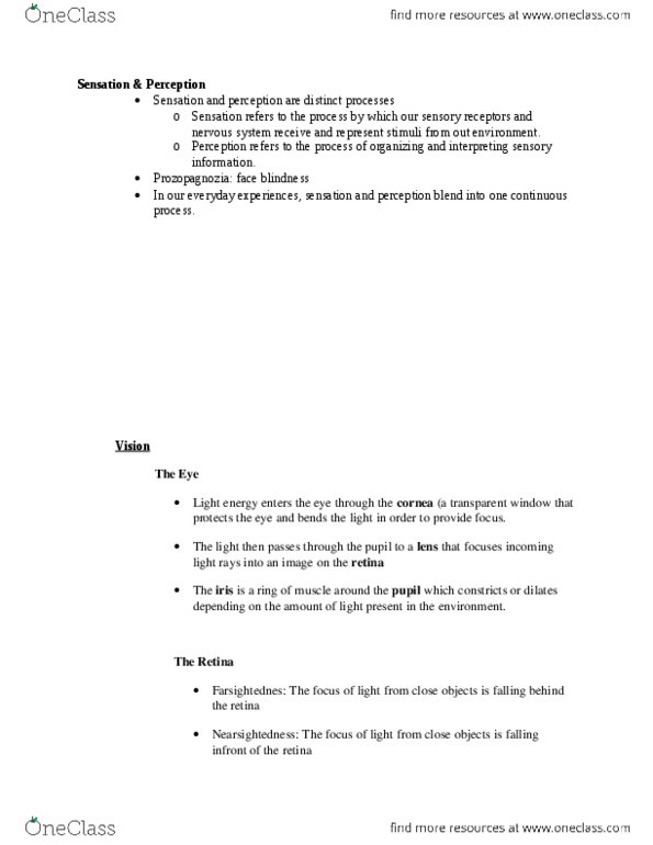 APSY-UE 2 Lecture Notes - Lecture 4: Intelius, Color Vision, Interposition thumbnail